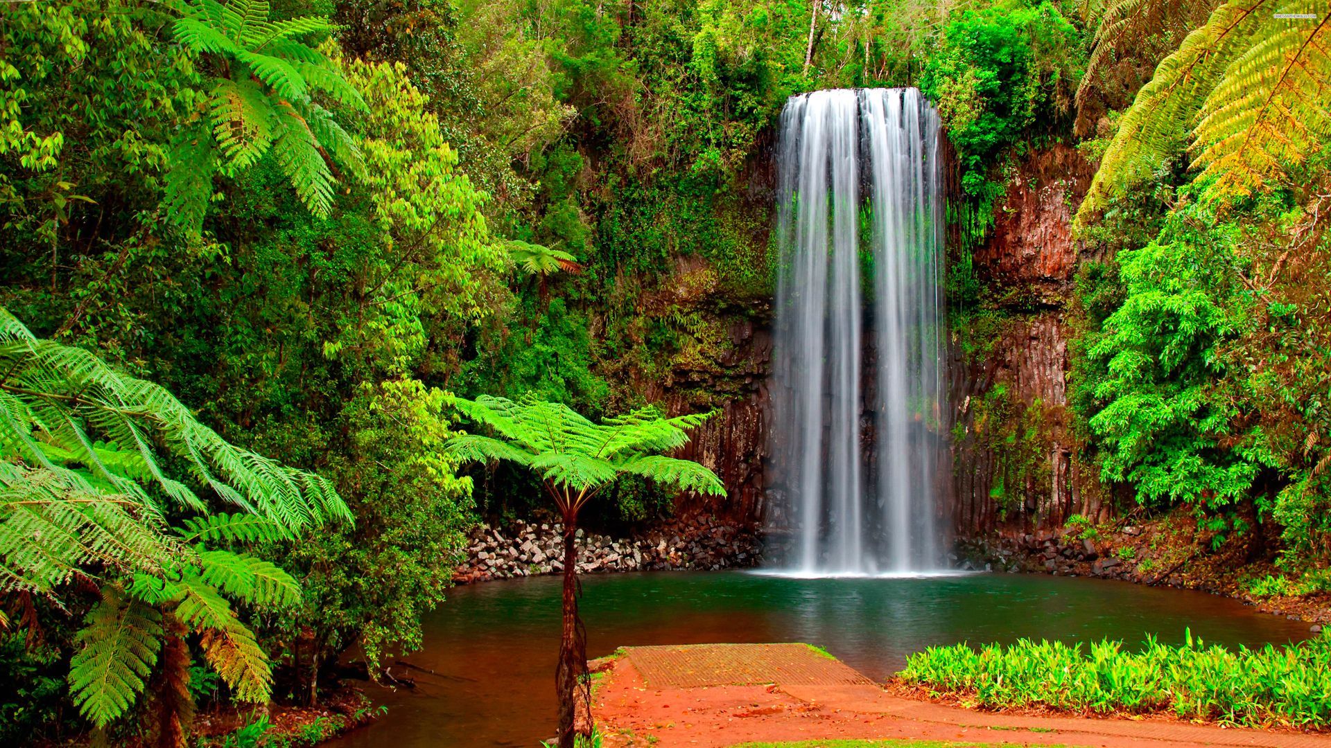 Waterfall Full HD Background Picture Image