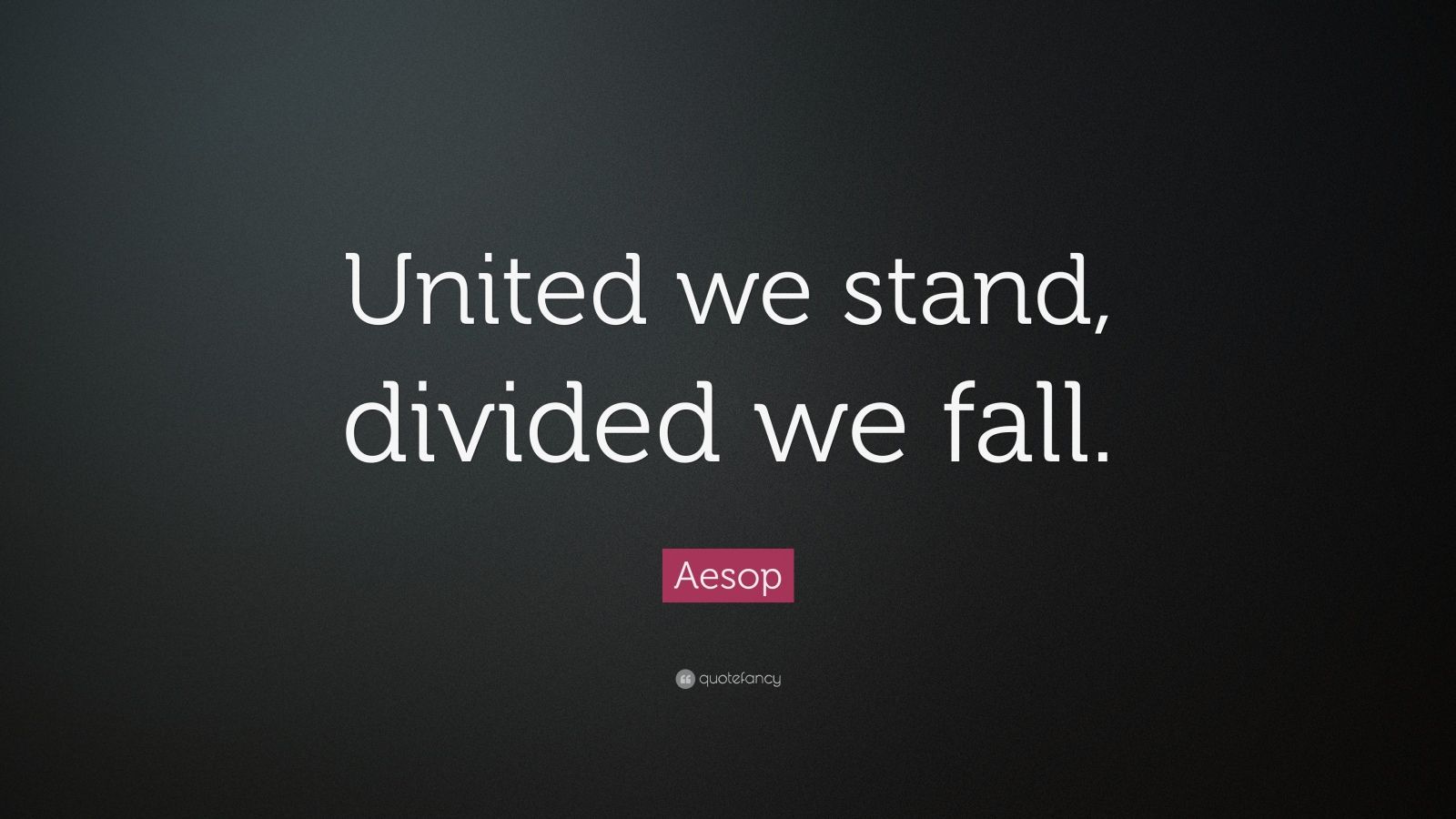 Best United We Stand Background