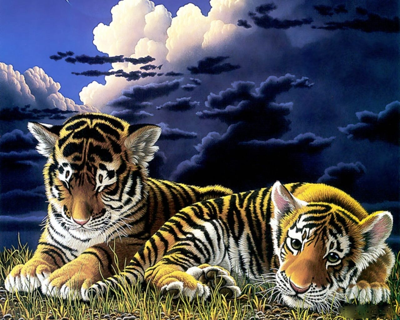 Baby Tiger Cubs Wallpaper HD