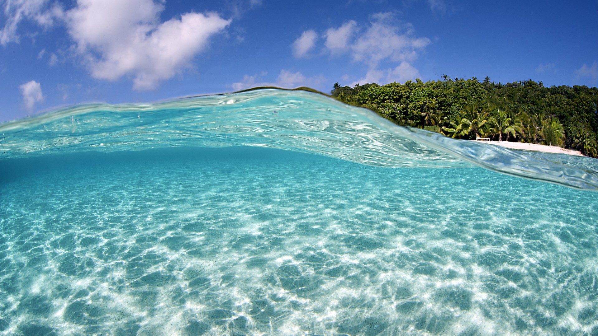 Tropical Beach In Vava U Tonga Desktop HD Wallpaper