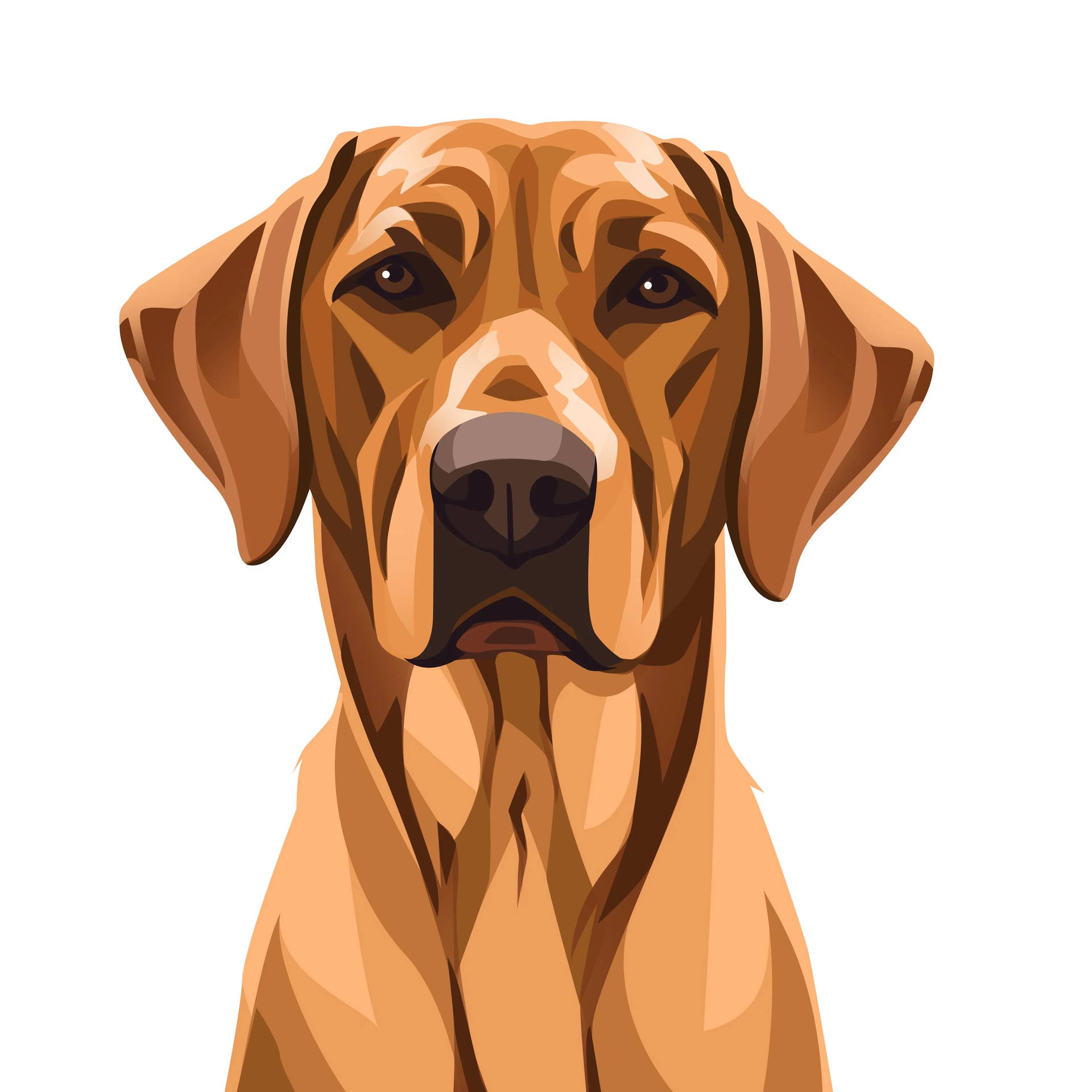Dog Art Wallpaper