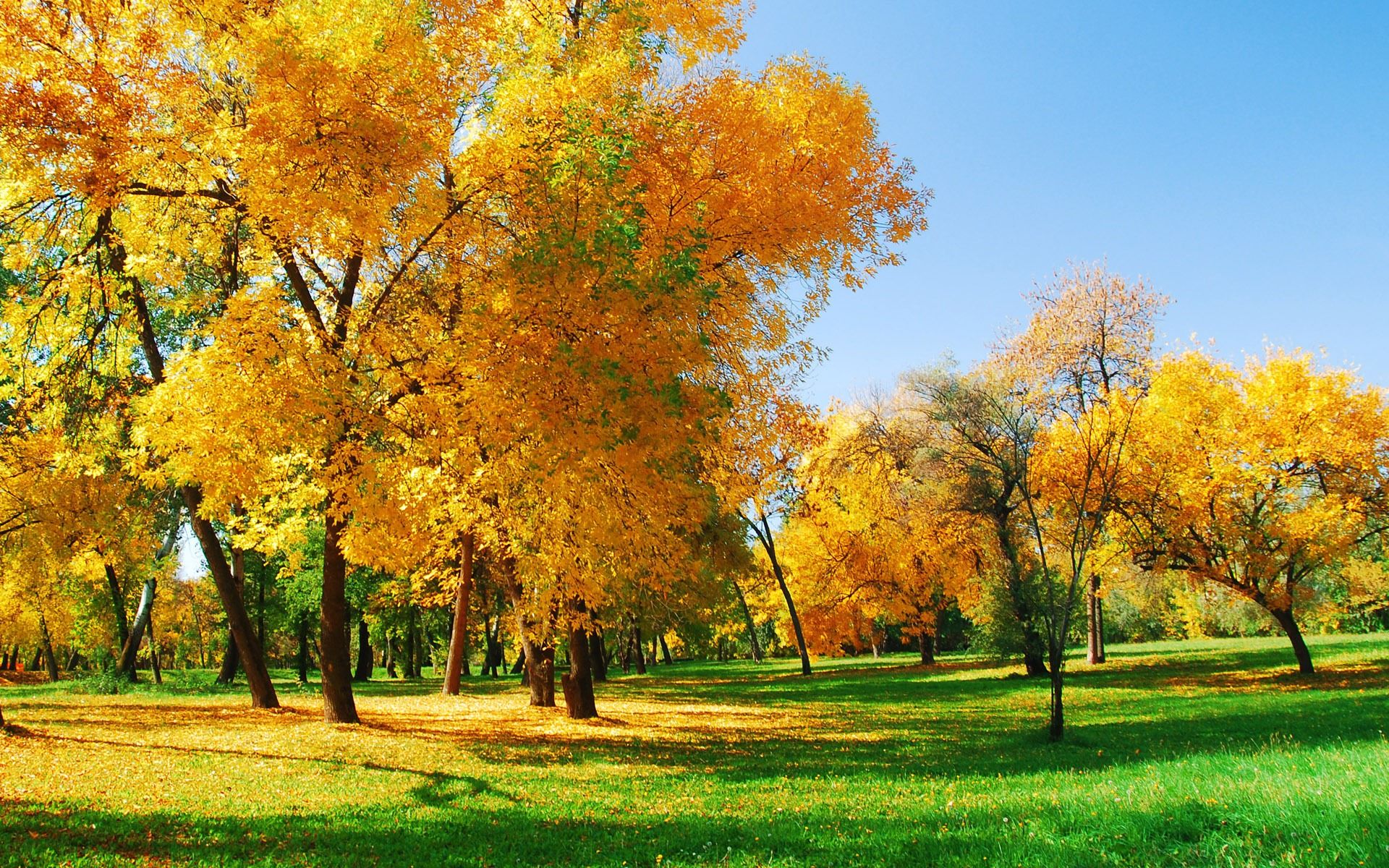 Fall Season Is Perfect For Taking Beautiful Scenic Image And
