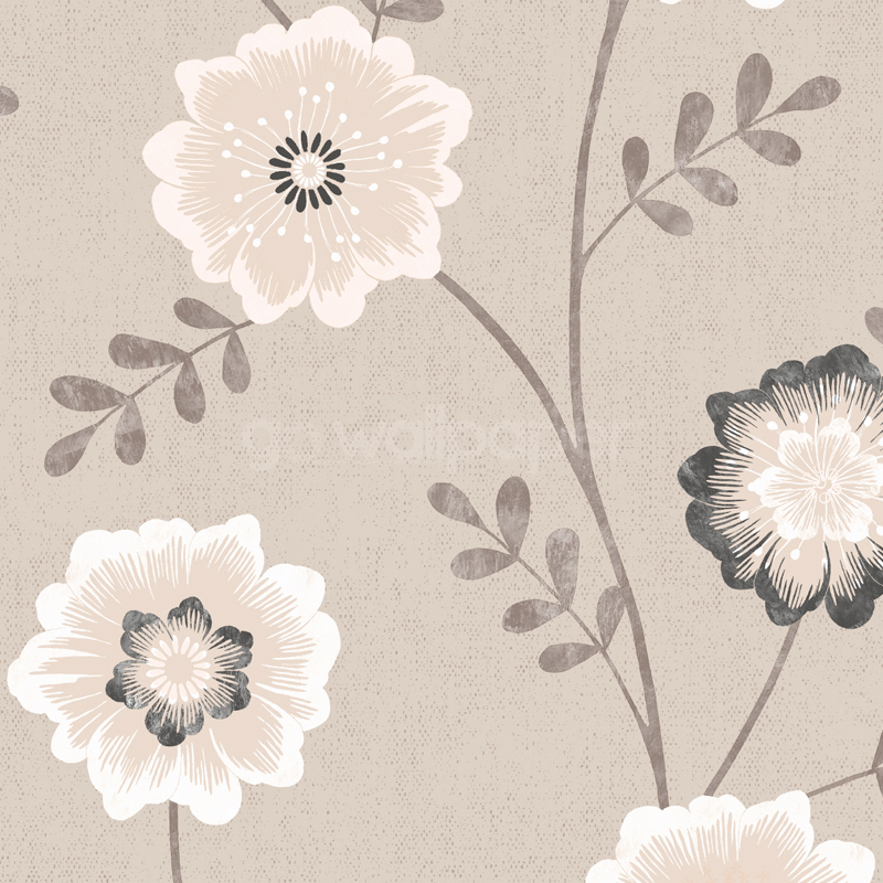 Luciana Wallpaper in Beige White and Black at GoWallpaper UK 800x800