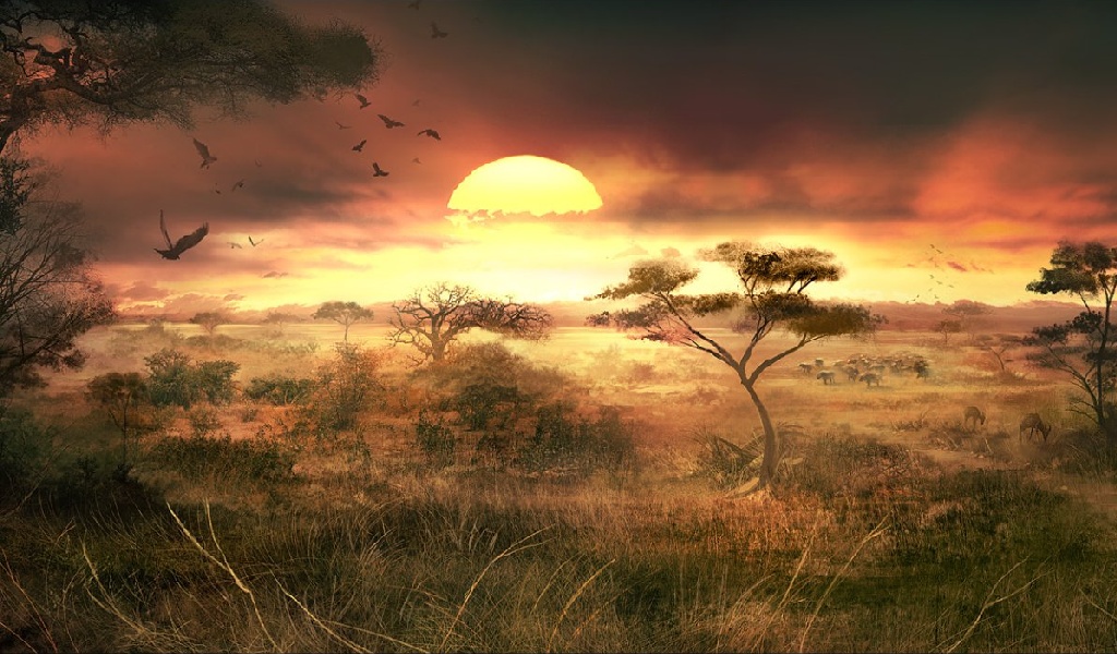 Savanna Sunset Wallpaper Background For C