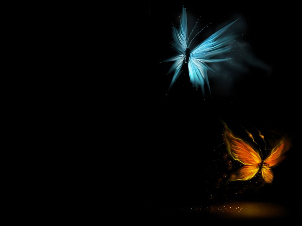 Butterfly On Black Wallpaper For iPhone