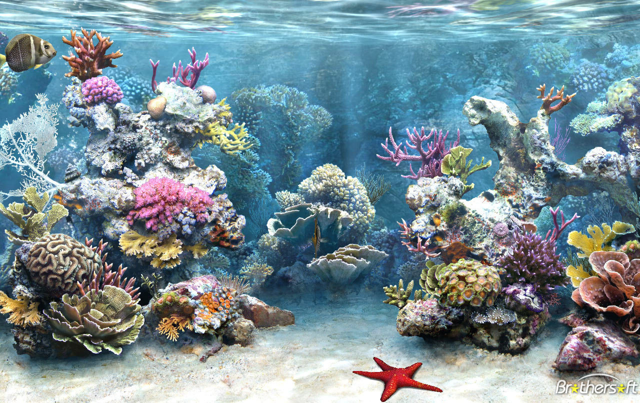 Virtual Aquarium Back To The Screen