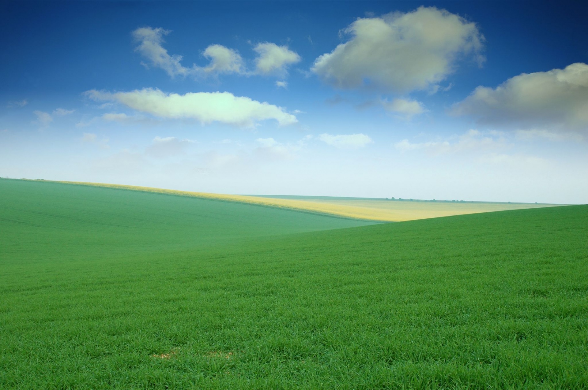 Green Field Dell wallpapershigh resolution High Definition Wallpapers