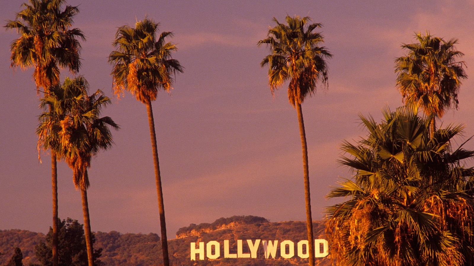 Free download Download Background Hollywood California Cool