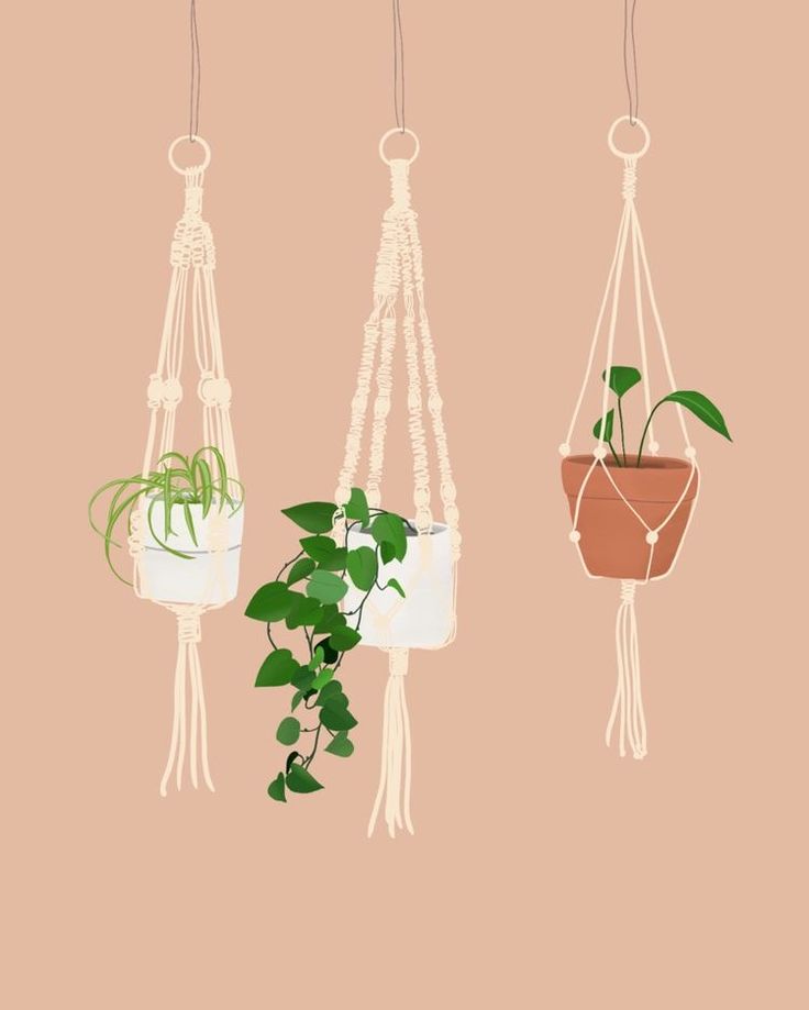 Three Hanging Planters With Plants Wallpaper