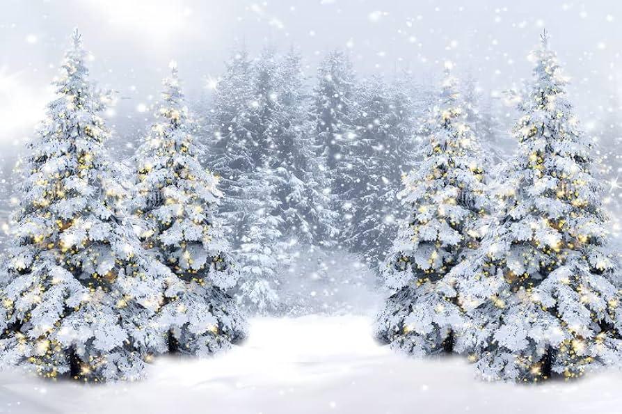 Amazon Christmas Backdrop Yeele Winter Wonderland