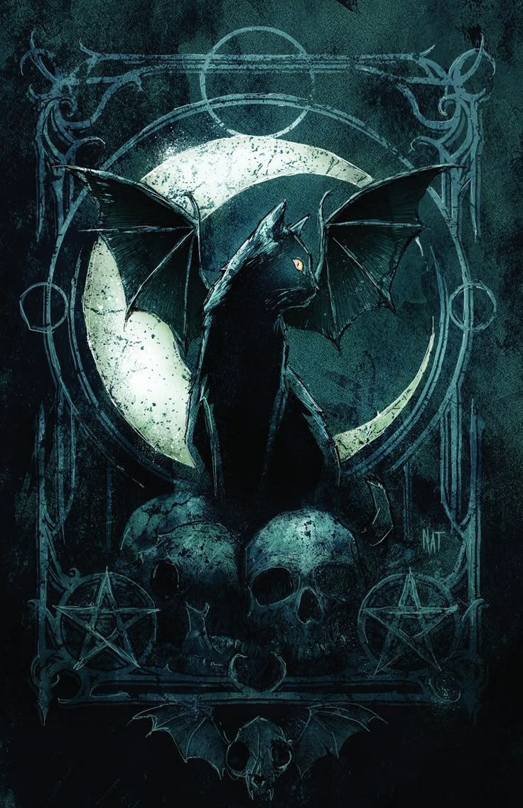 Bat Cat Printbat Catnat Jonesfairy Catcat Wallpaper