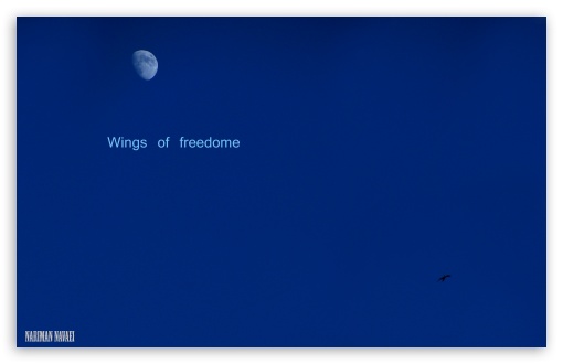 Wings of Freedom HD wallpaper for Standard 43 54 Fullscreen UXGA XGA