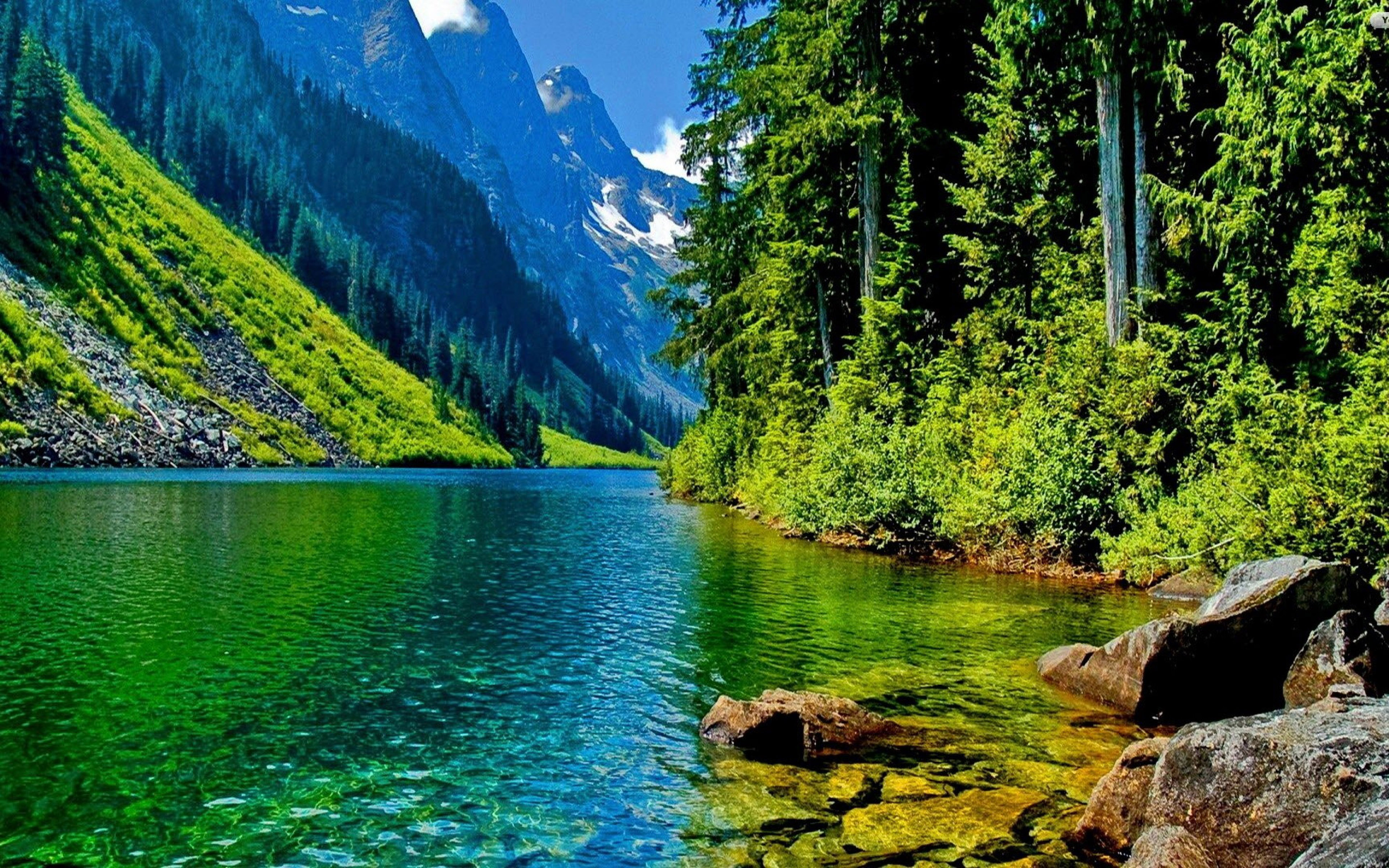 Free Download Forest Mountain River Nature Desktop Wallpaper 3840x2400
