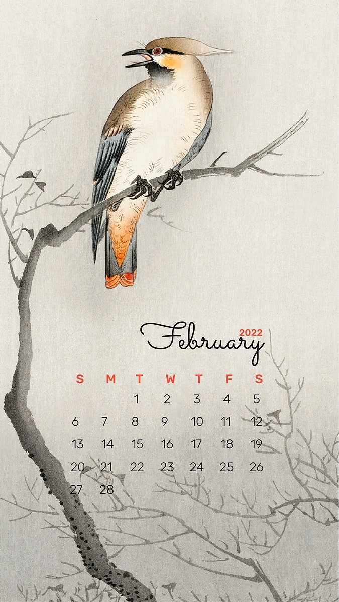Bird February Calendar Monthly Photo Rawpixel