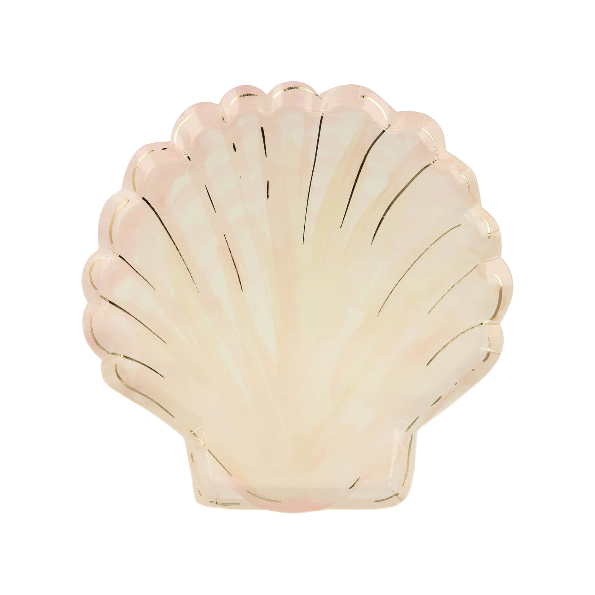 Clam Shell On Sand Wallpaper