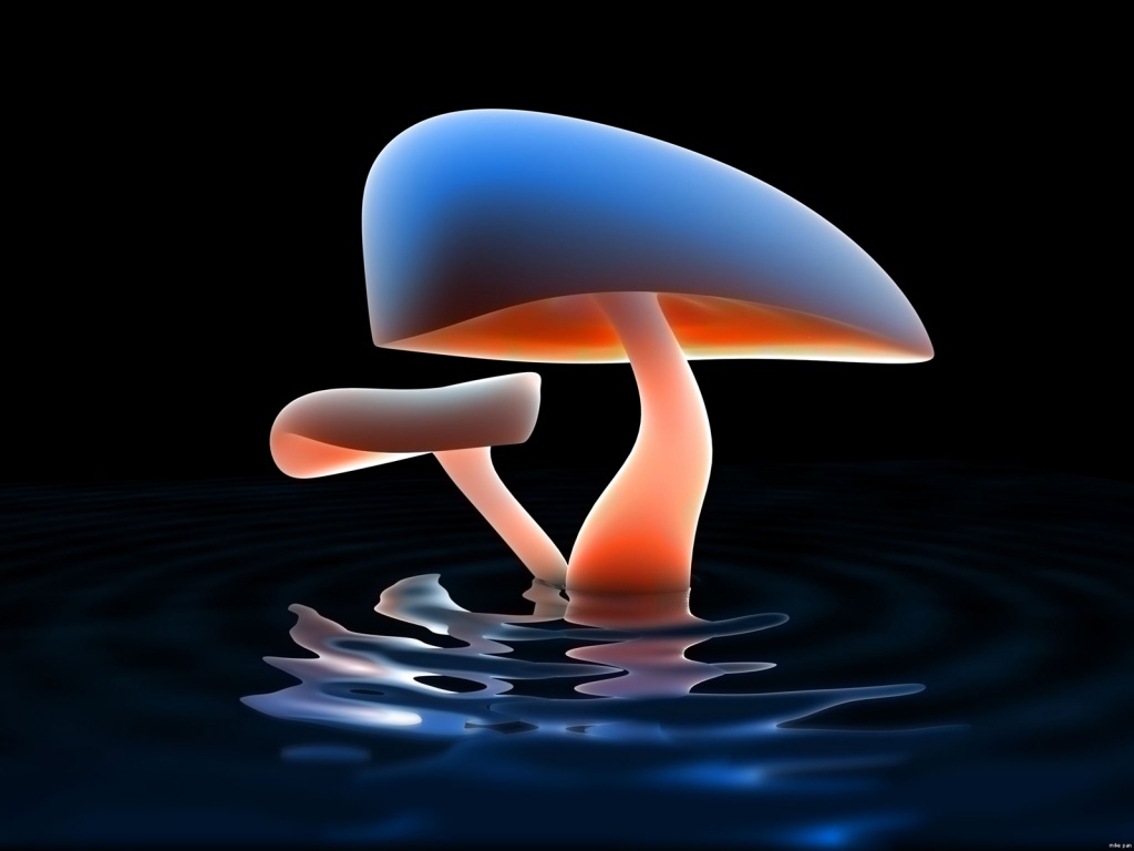 Mushroom Lake Desktop Pc And Mac Wallpaper