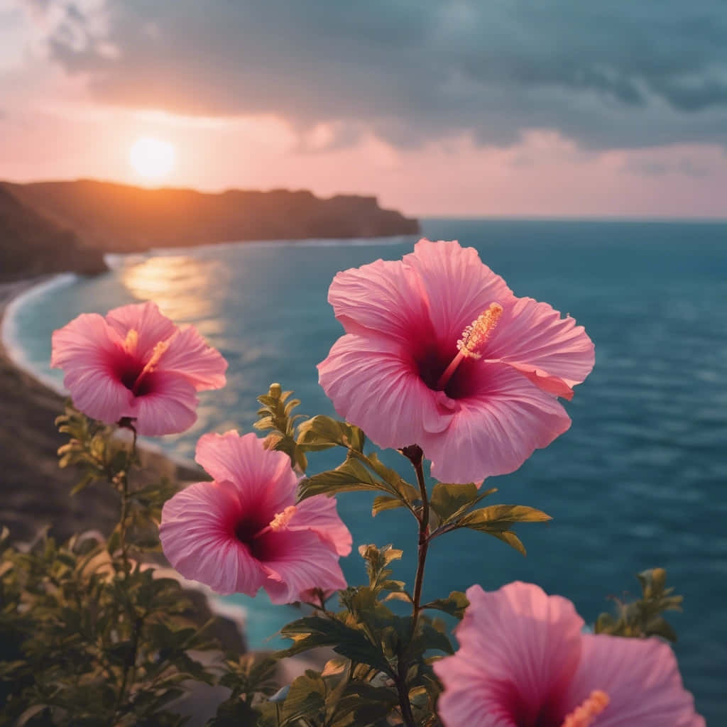 Hibiscus Aesthetic Wallpaper