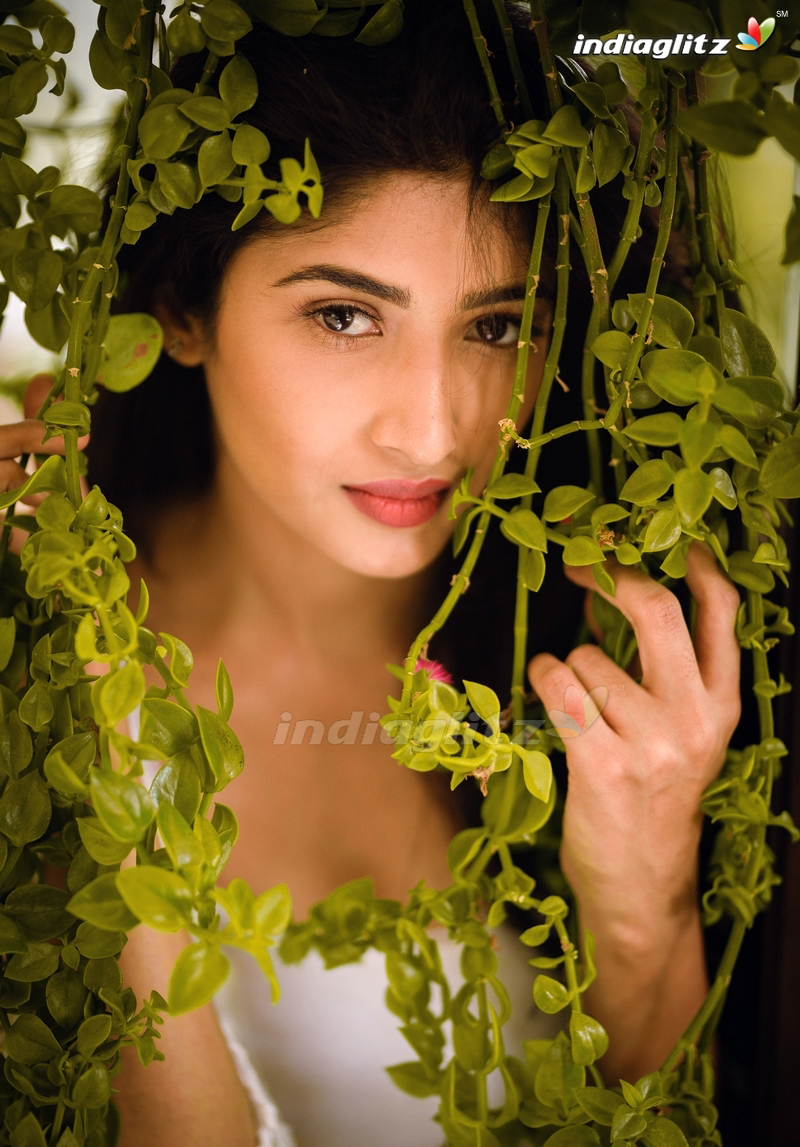 Roshini Prakash Photos Tamil Actress Image Gallery