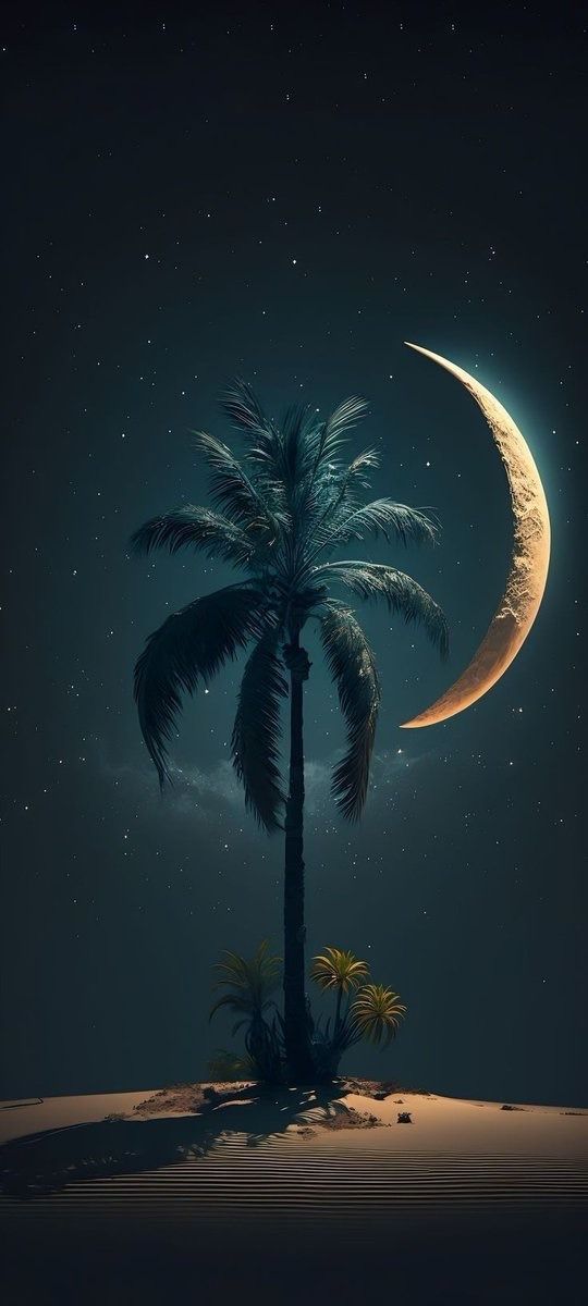 9e5b7f2876716de482084e55df740f0f Wallpaper