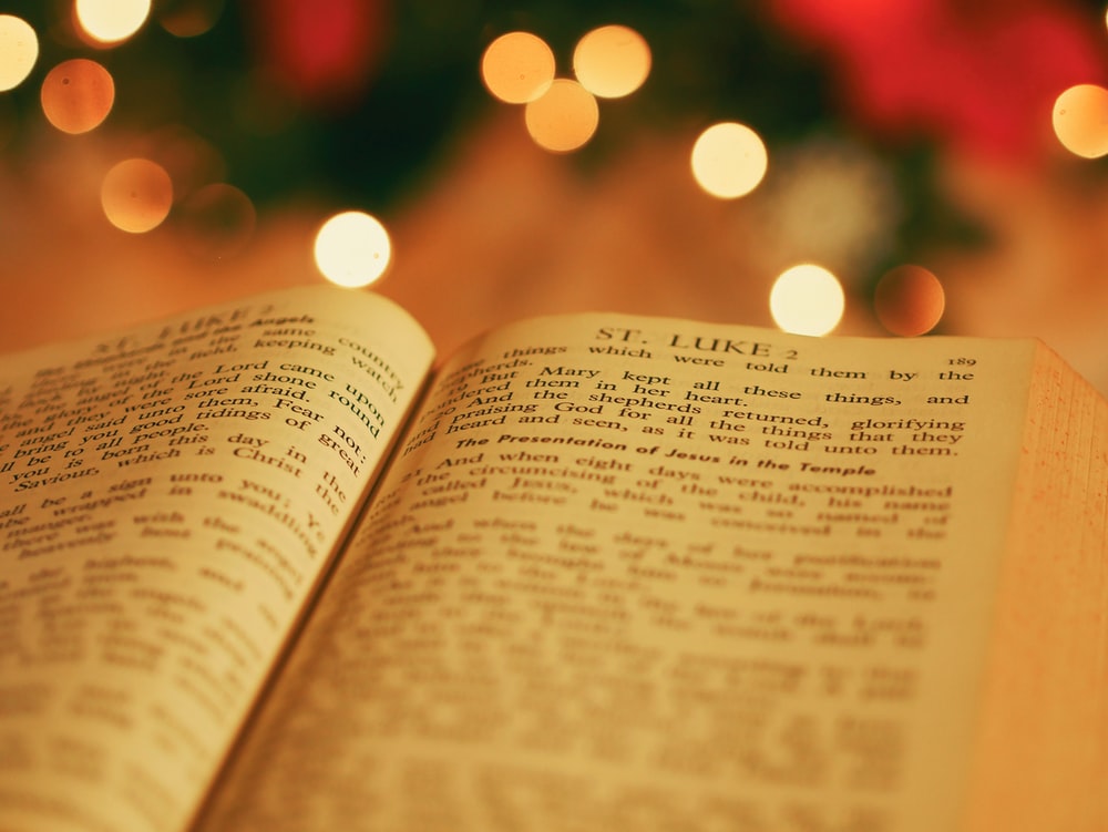 opened bible with bokeh light background photo Free Image on