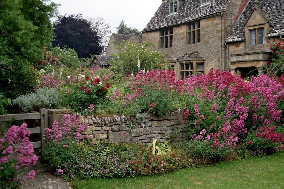 English Garden wallpaper