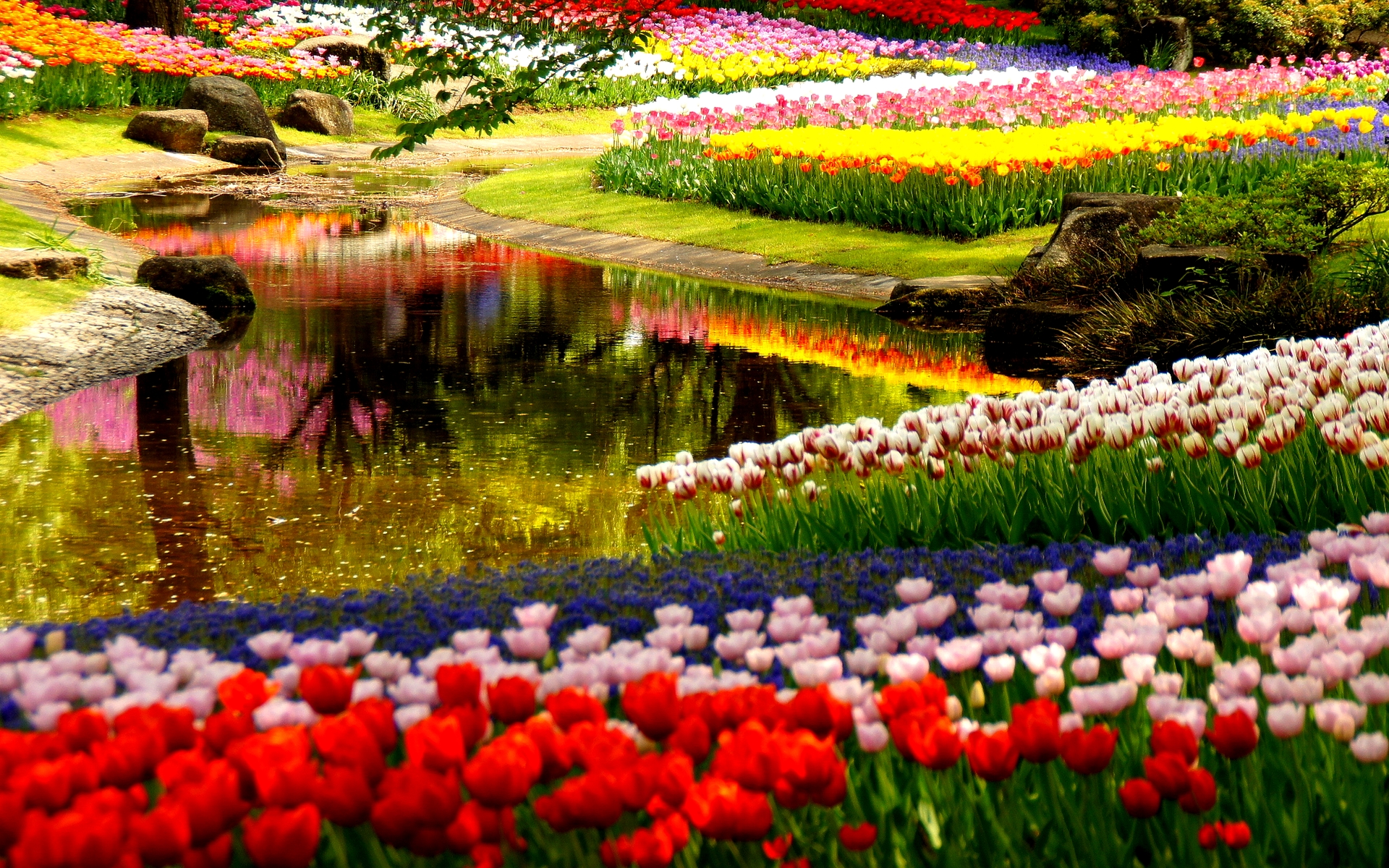Garden Wallpaper