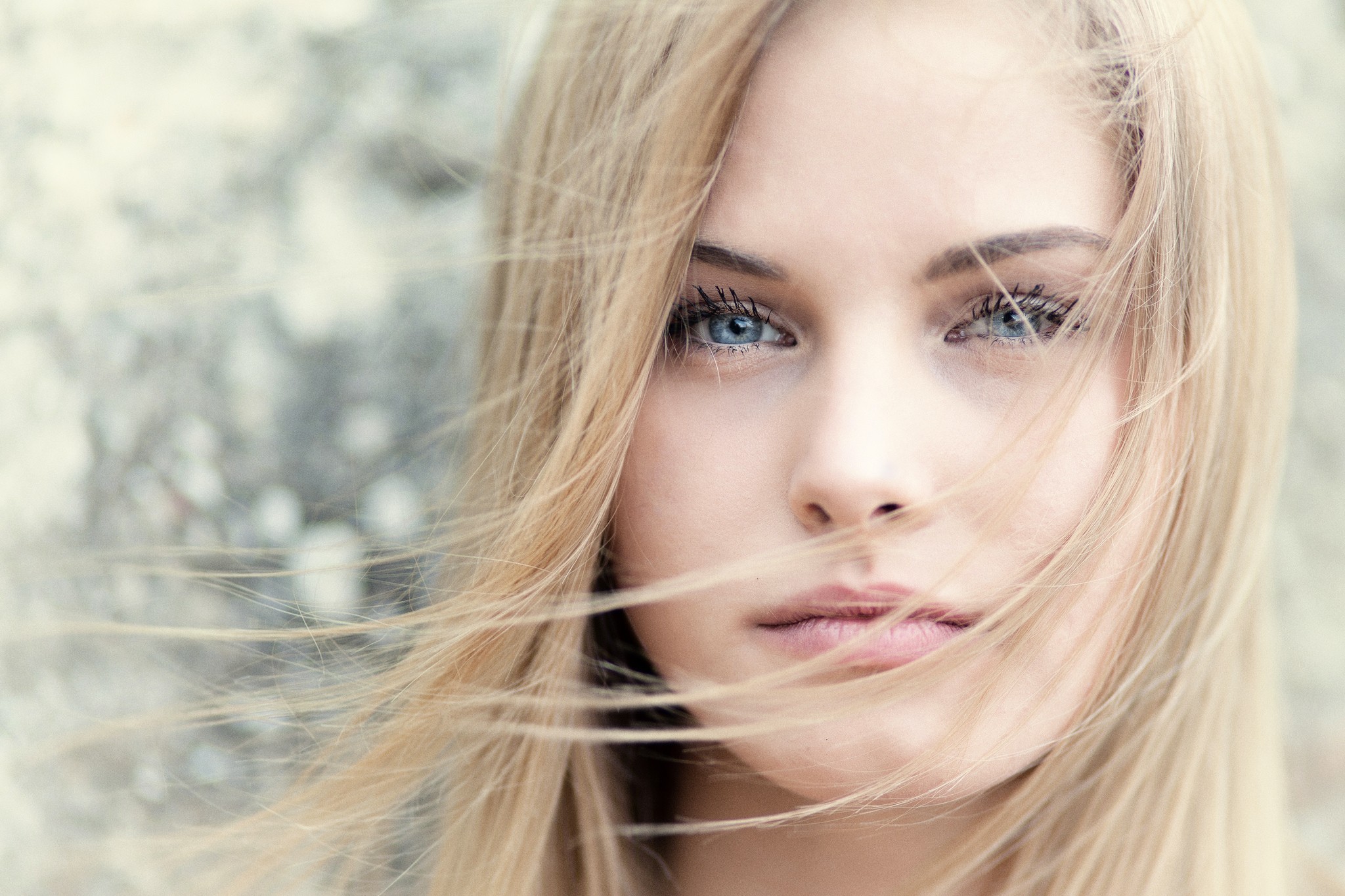 Model Blonde Close Up Face Girl Gray Woman