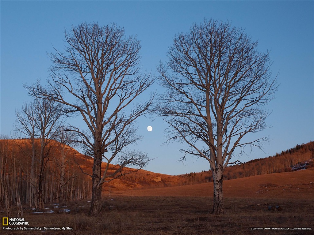 More Wallpaper Like Moonrise Colorado National Geographic