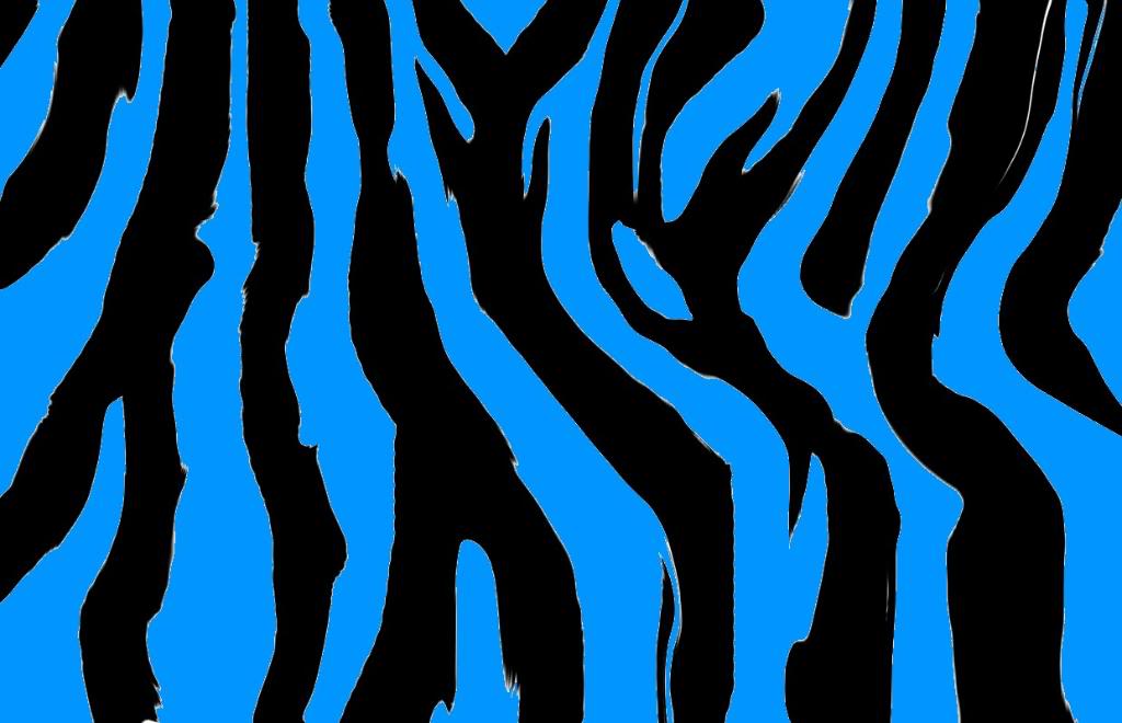 Blue Zebra Graphics Code Ments Pictures