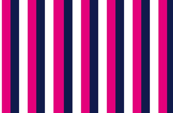 Stripes Navy White Pink Art Print By Valerie Hoffmann Society6