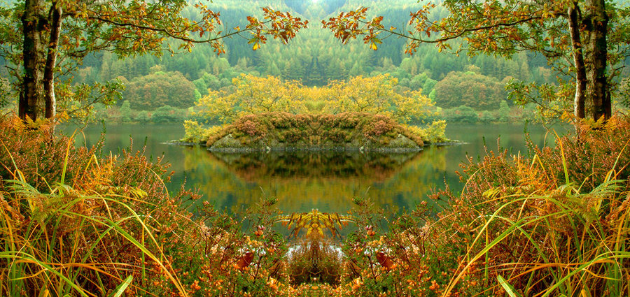 Psychedelic Nature Art Wallpaper By Scotto