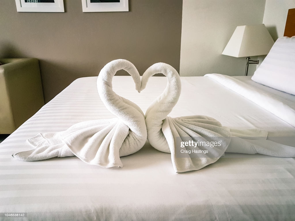Shot Of Hotel Room Towels In Swan Shapes Towel Art Maid Service