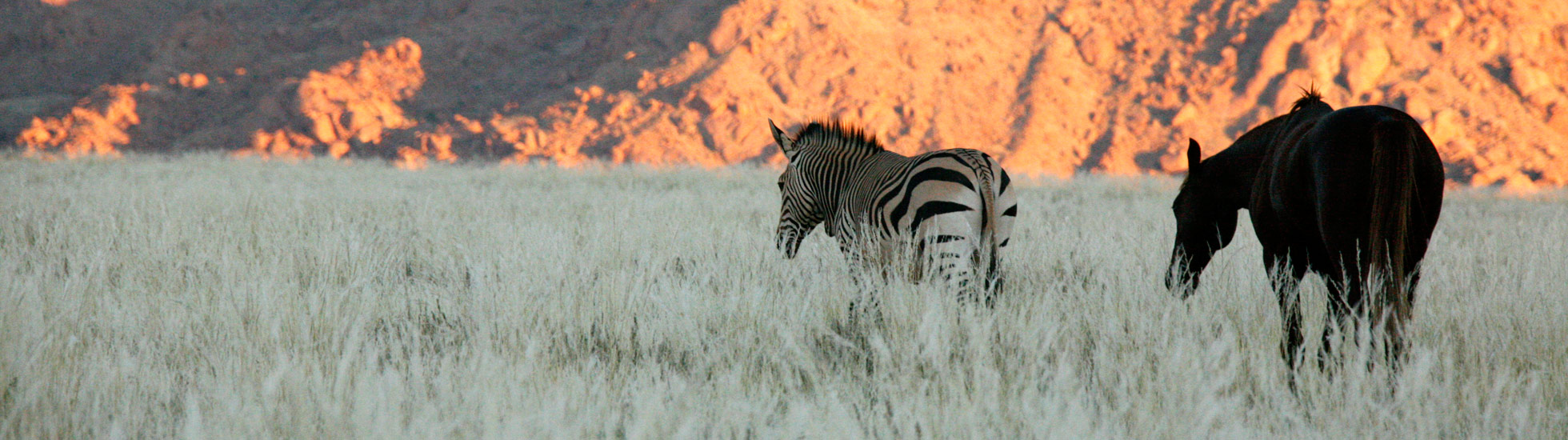 History And Concept Of The Namtib Biosphere Reserve