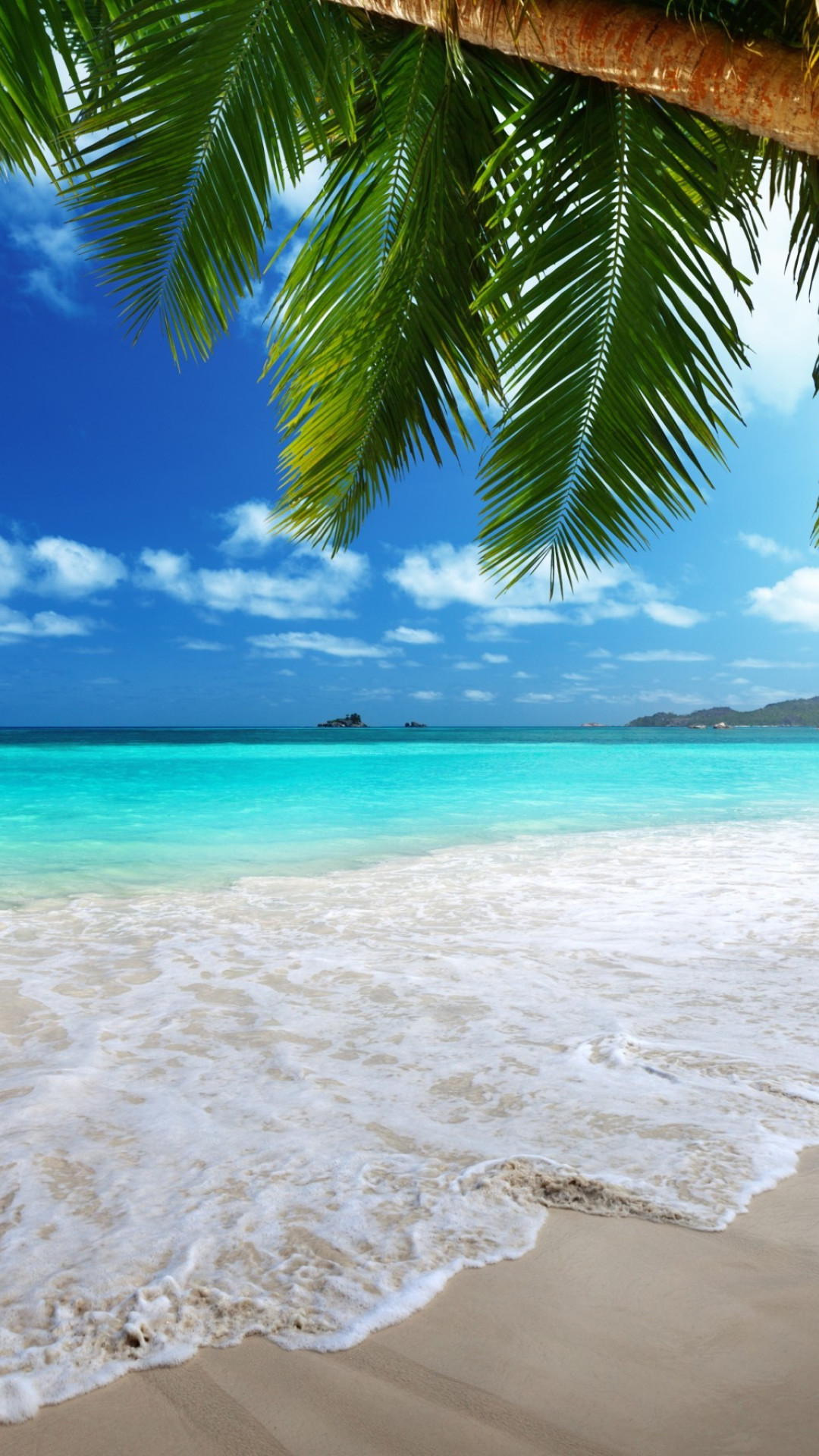 Tropical beach paradise with turquoise water, white sand, and palm trees