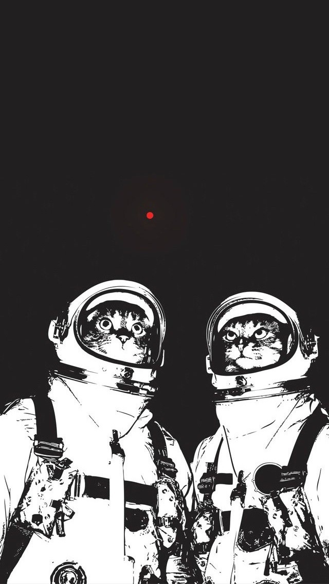 Got Bored Made A New iPhone Wallpaper Spacecats Macgasm