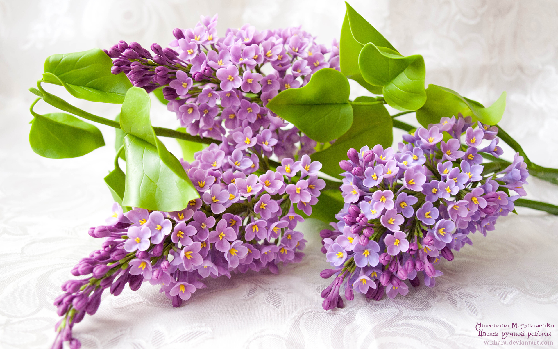Lilac Flower   Purple Photo 34733597 1920x1200