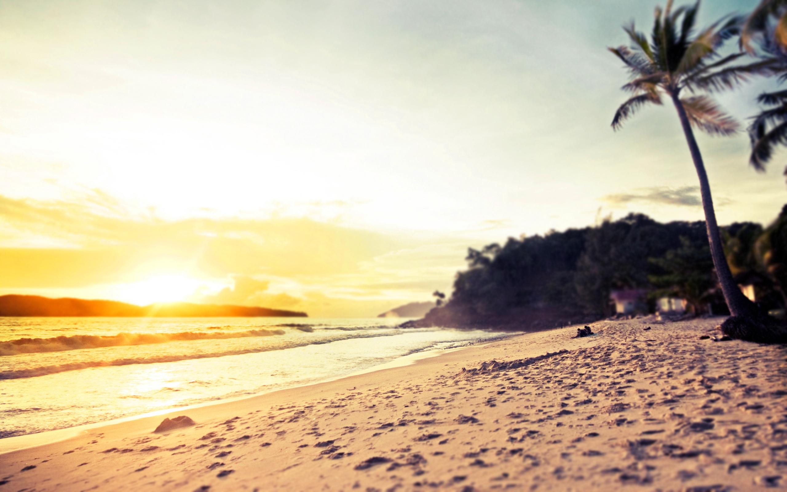 Download Free 2560x1600 Beach Sunset Desktop Wallpaper