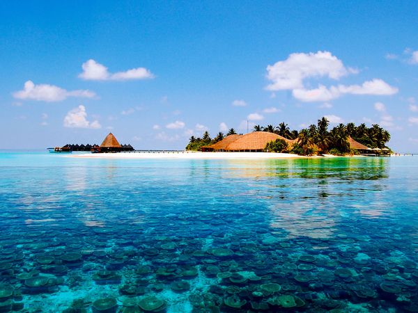 The Maldives Are A Perfect Destination Whether Your Dream Beach Trip