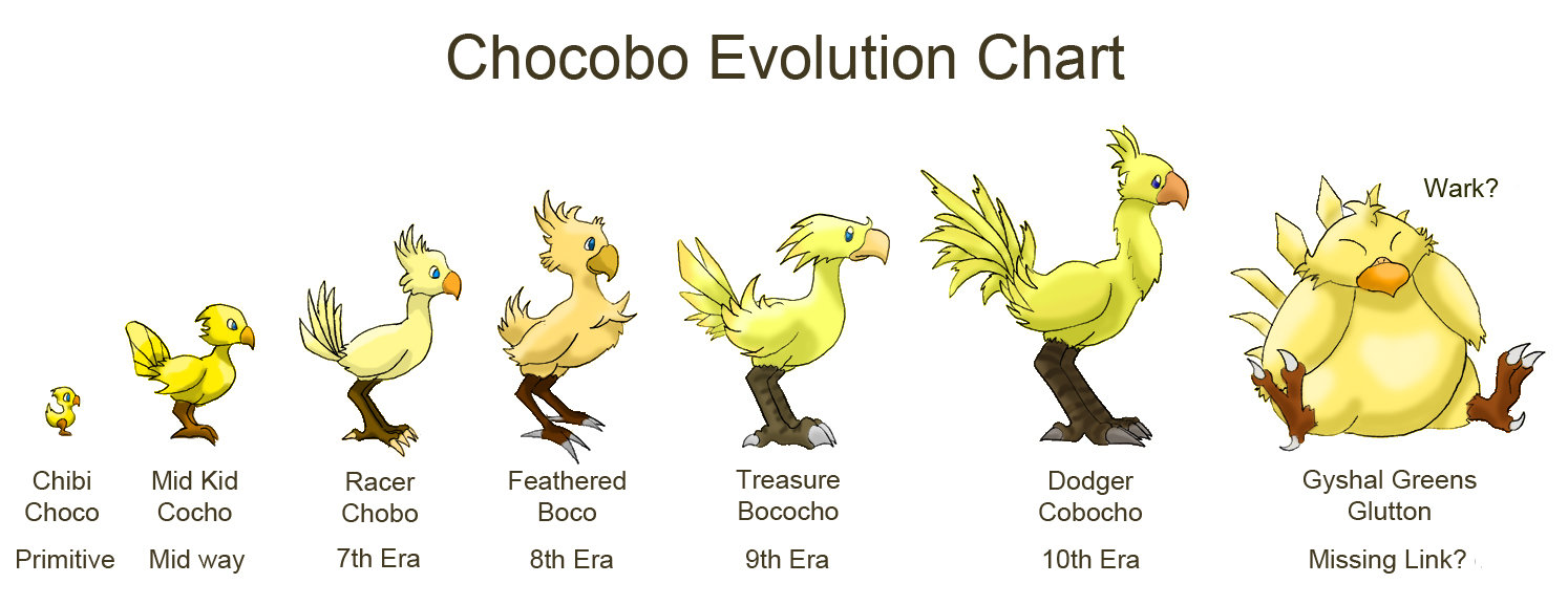 The Chocobo Chain By Hieeechaba