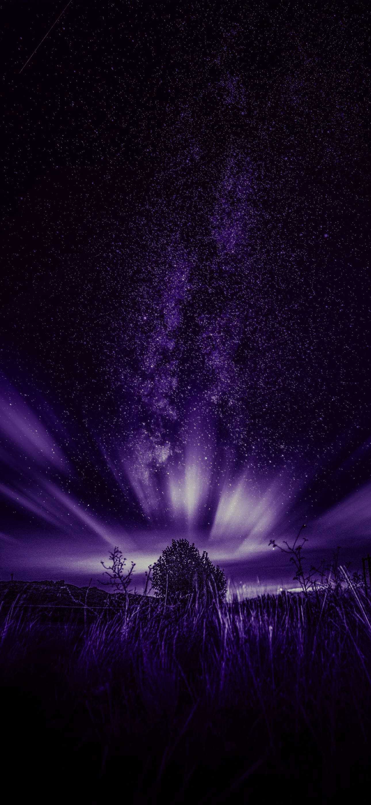A breathtaking view of the Milky Way galaxy in a purple hue, captured on an iPhone 14 Pro Max. The foreground features a field of grass, silhouetted against the vibrant night sky