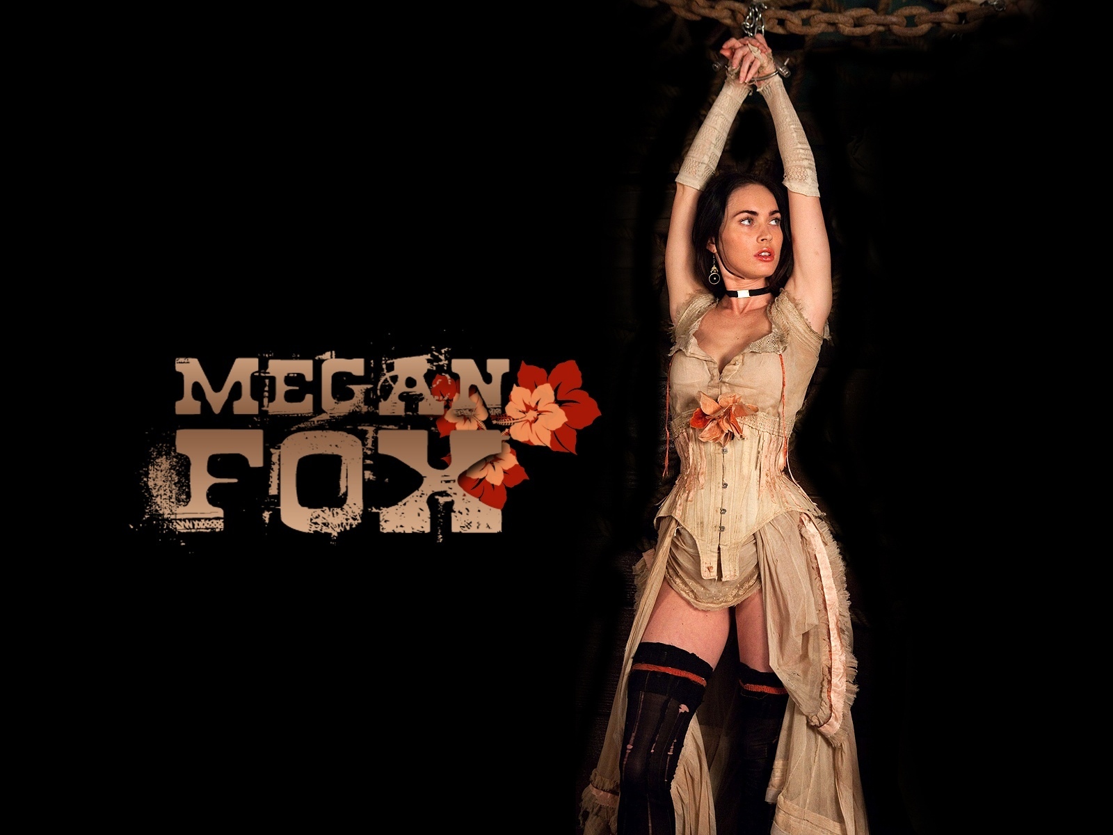 Megan Fox Wallpaper Background HD