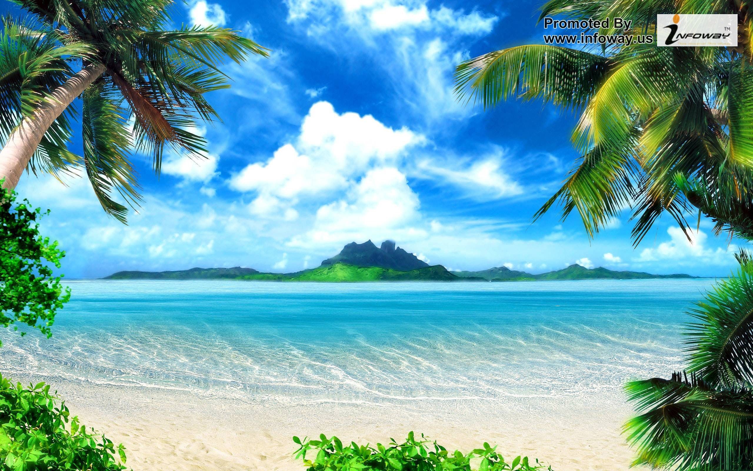 Tropical island beach wallpaper with palm trees, turquoise water, white sand, and a green mountain in the background