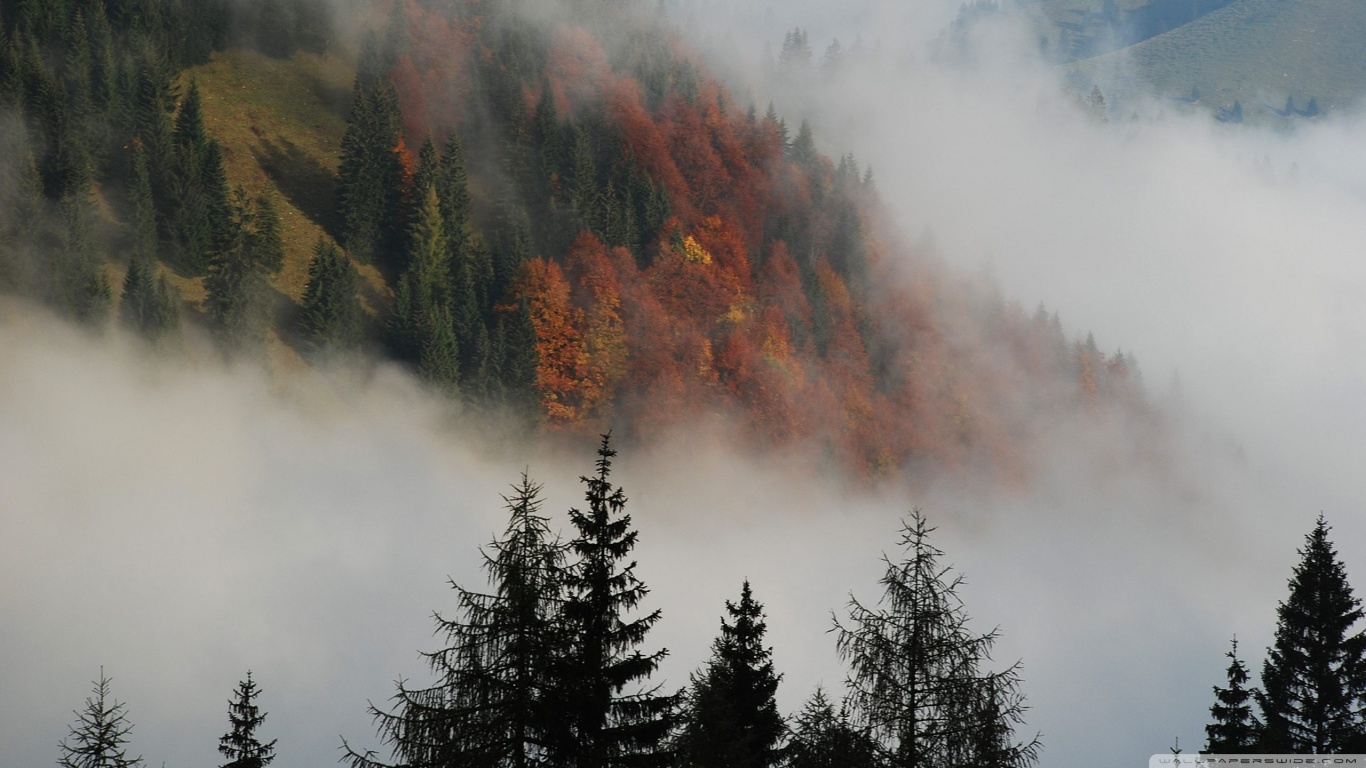 Foggy Mountain Forest 4K HD Desktop Wallpaper for 4K Ultra HD