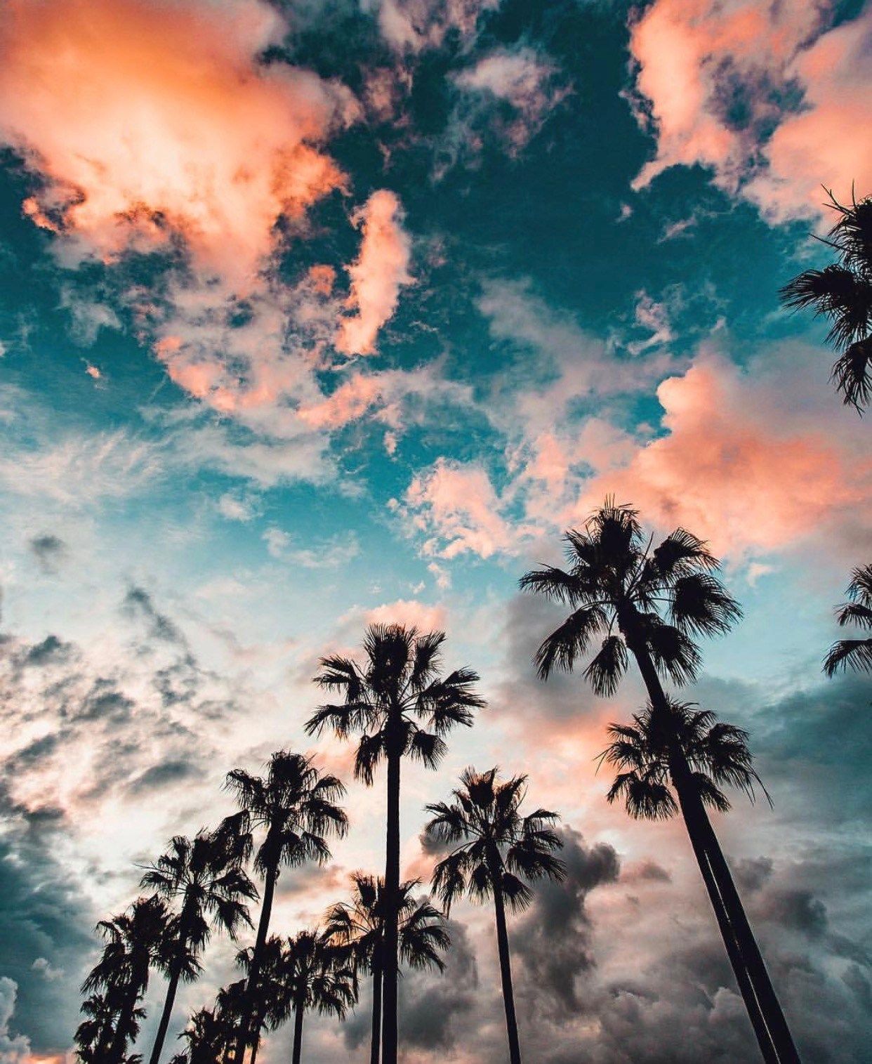 California Summer Wallpaper