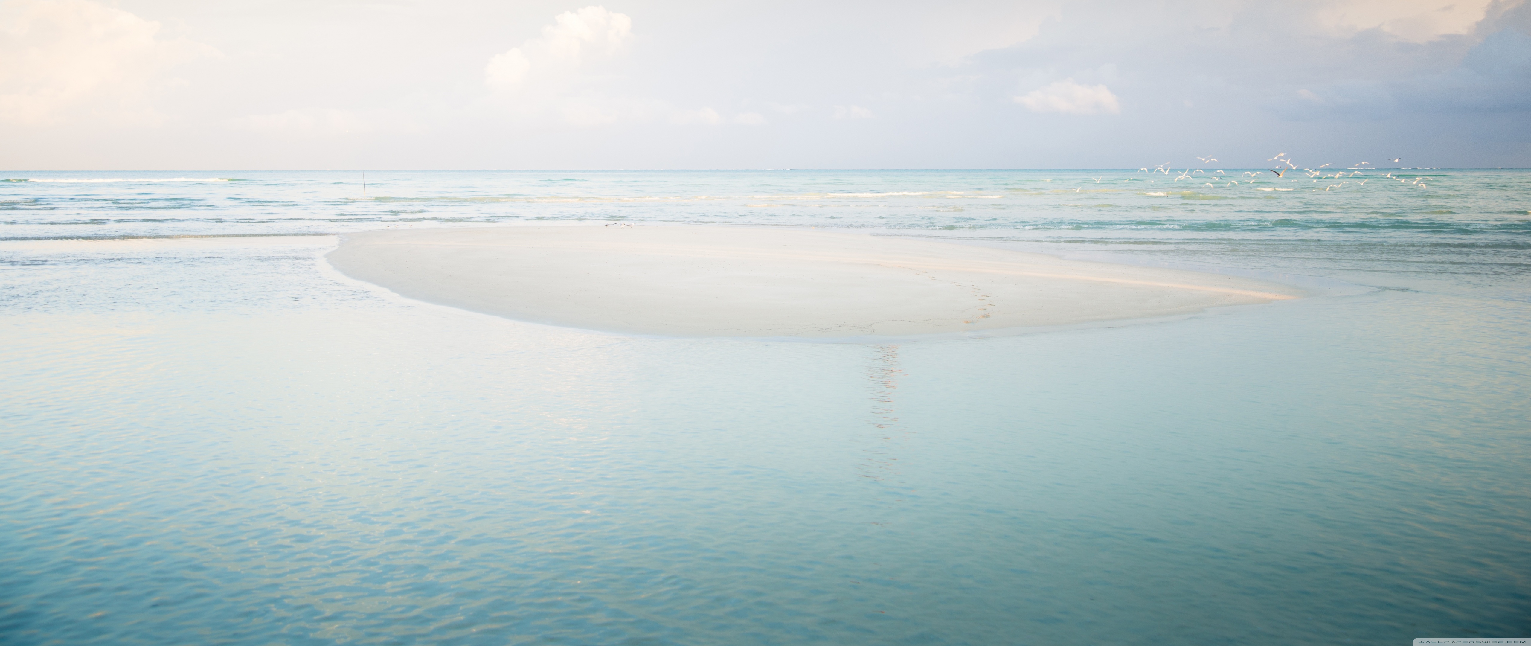 Sandbar Ultra HD Desktop Background Wallpaper For 4k UHD Tv