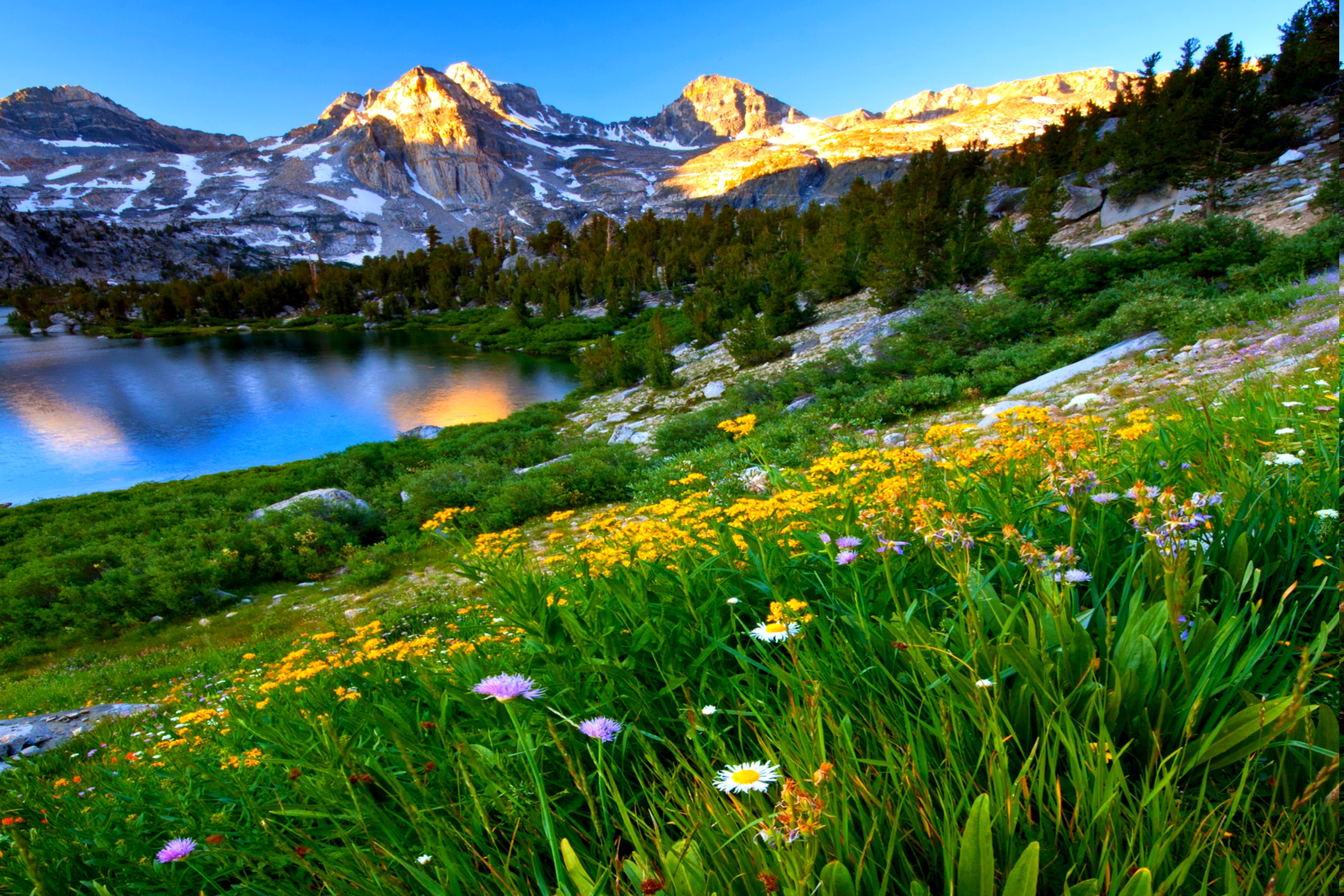 Mountain Spring Desktop Background Wallpaper HD