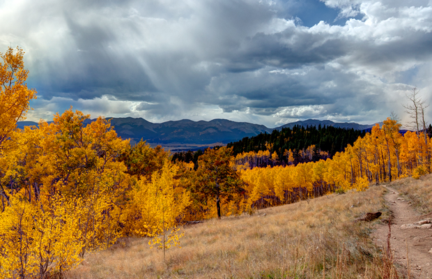 Aspen Colorado Trail Photo Desktop Wallpaper