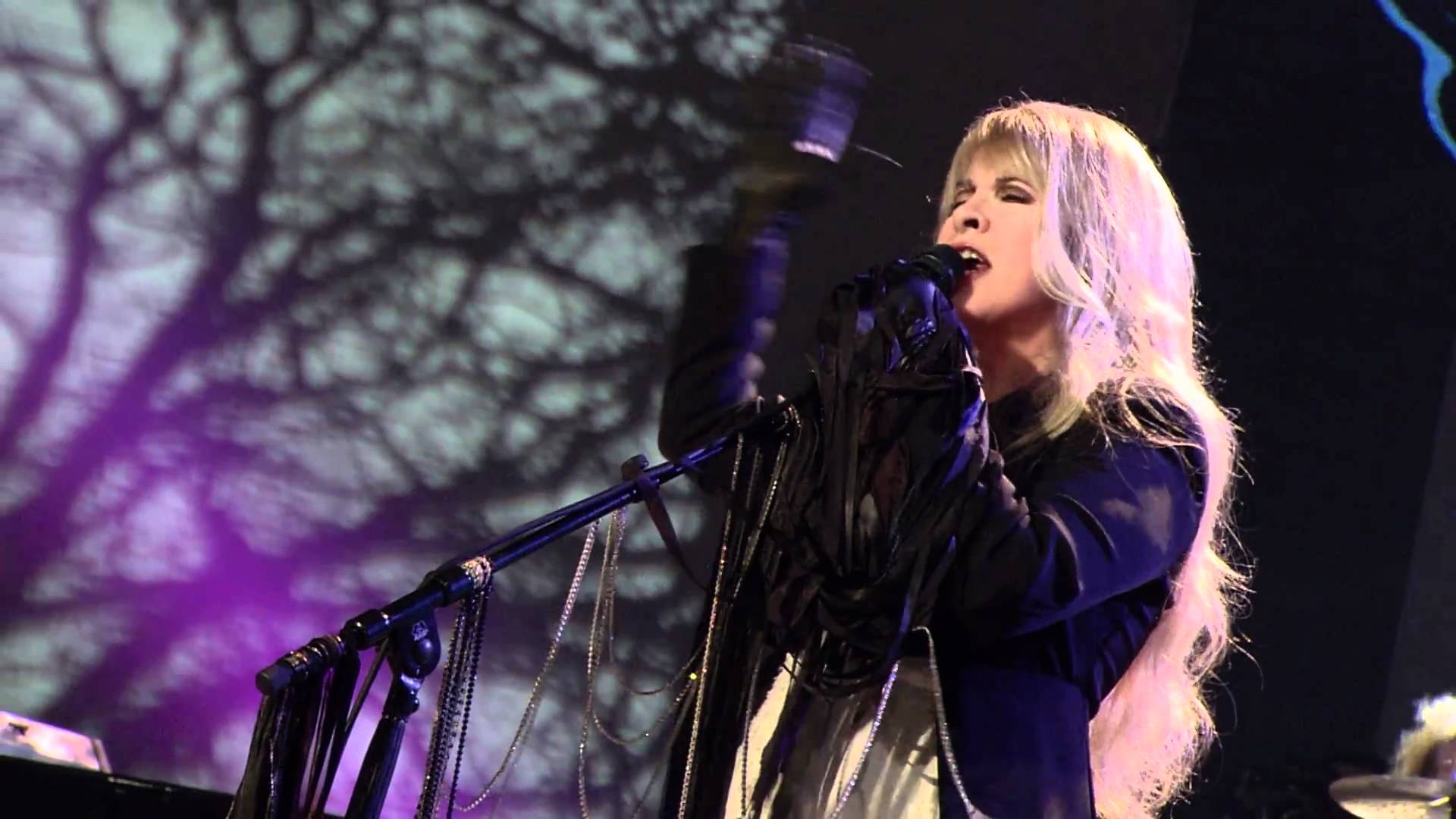 Stevie Nicks says she will never retire plans to stay young