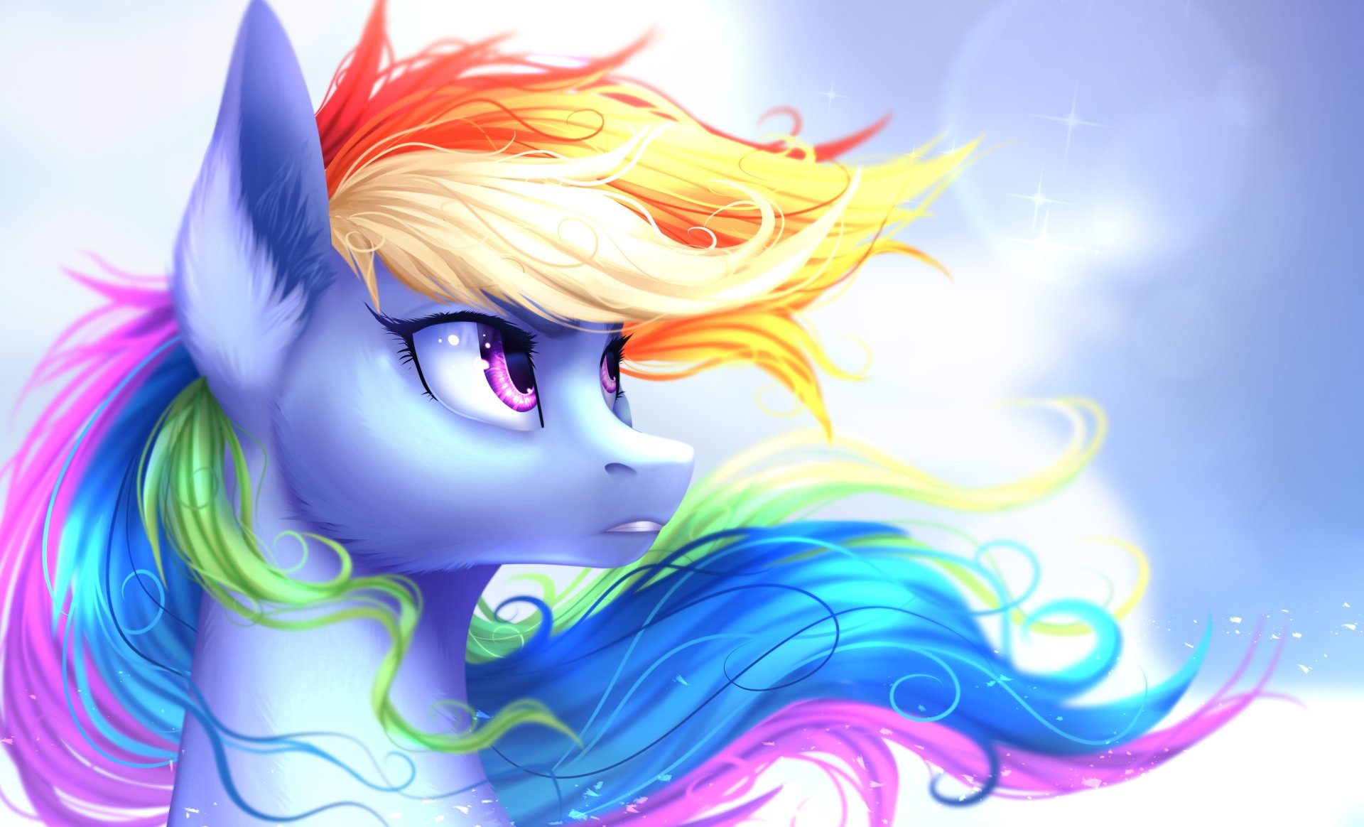 Rainbow Dash Tv Show My Little Pony Wallpaper