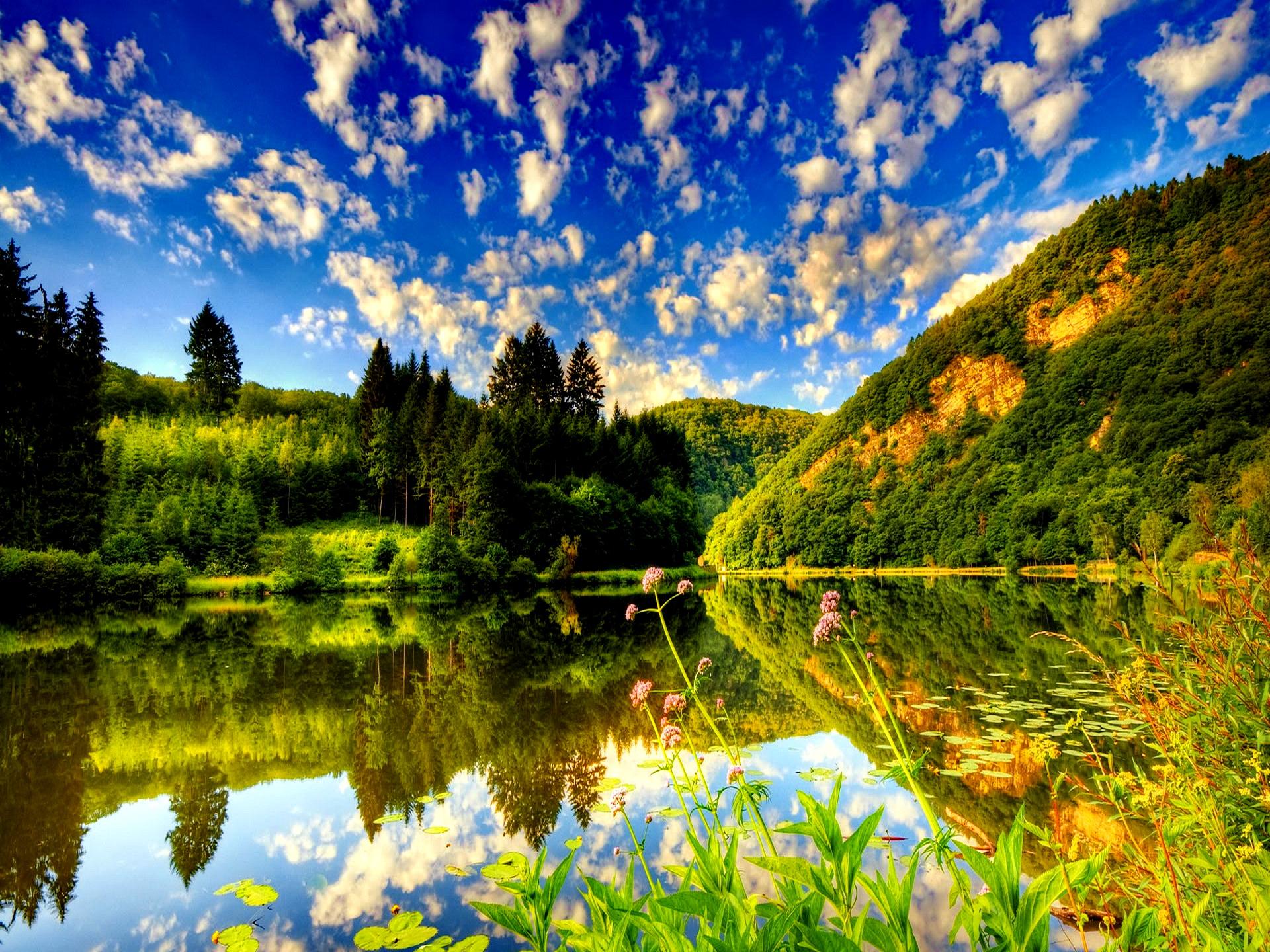 Lake Summer Nature Wallpaper With Resolutions Pixel
